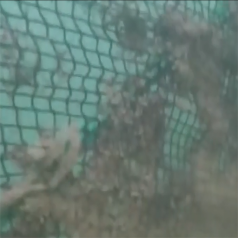 高壓清洗機(jī),進(jìn)口高壓清洗機(jī),高壓清洗機(jī)價格,超高壓清洗機(jī) 高壓清洗機(jī),進(jìn)口高壓清洗機(jī),高壓清洗機(jī)價格,超高壓清洗機(jī)