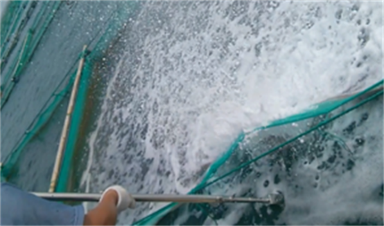 高壓清洗機(jī),進(jìn)口高壓清洗機(jī),高壓清洗機(jī)價(jià)格,超高壓清洗機(jī) 高壓清洗機(jī),進(jìn)口高壓清洗機(jī),高壓清洗機(jī)價(jià)格,超高壓清洗機(jī)