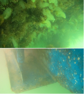 高壓清洗機(jī),進(jìn)口高壓清洗機(jī),高壓清洗機(jī)價(jià)格,超高壓清洗機(jī) 高壓清洗機(jī),進(jìn)口高壓清洗機(jī),高壓清洗機(jī)價(jià)格,超高壓清洗機(jī)