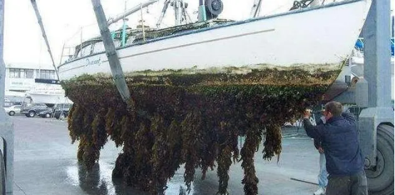 高壓清洗機(jī),進(jìn)口高壓清洗機(jī),高壓清洗機(jī)價(jià)格,超高壓清洗機(jī)