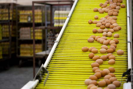 高壓清洗機(jī),進(jìn)口高壓清洗機(jī),高壓清洗機(jī)價格,超高壓清洗機(jī) 高壓清洗機(jī),進(jìn)口高壓清洗機(jī),高壓清洗機(jī)價格,超高壓清洗機(jī)