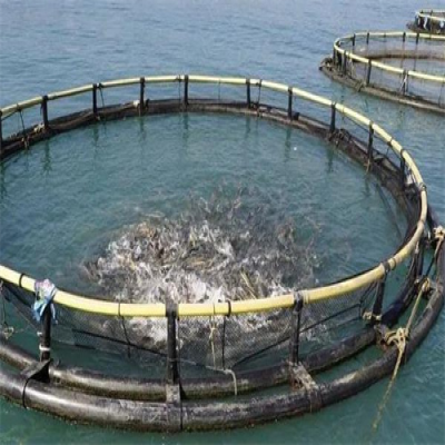 應(yīng)對(duì)夏季海生物生長(zhǎng)迅速的海洋平臺(tái)養(yǎng)殖網(wǎng)箱清洗